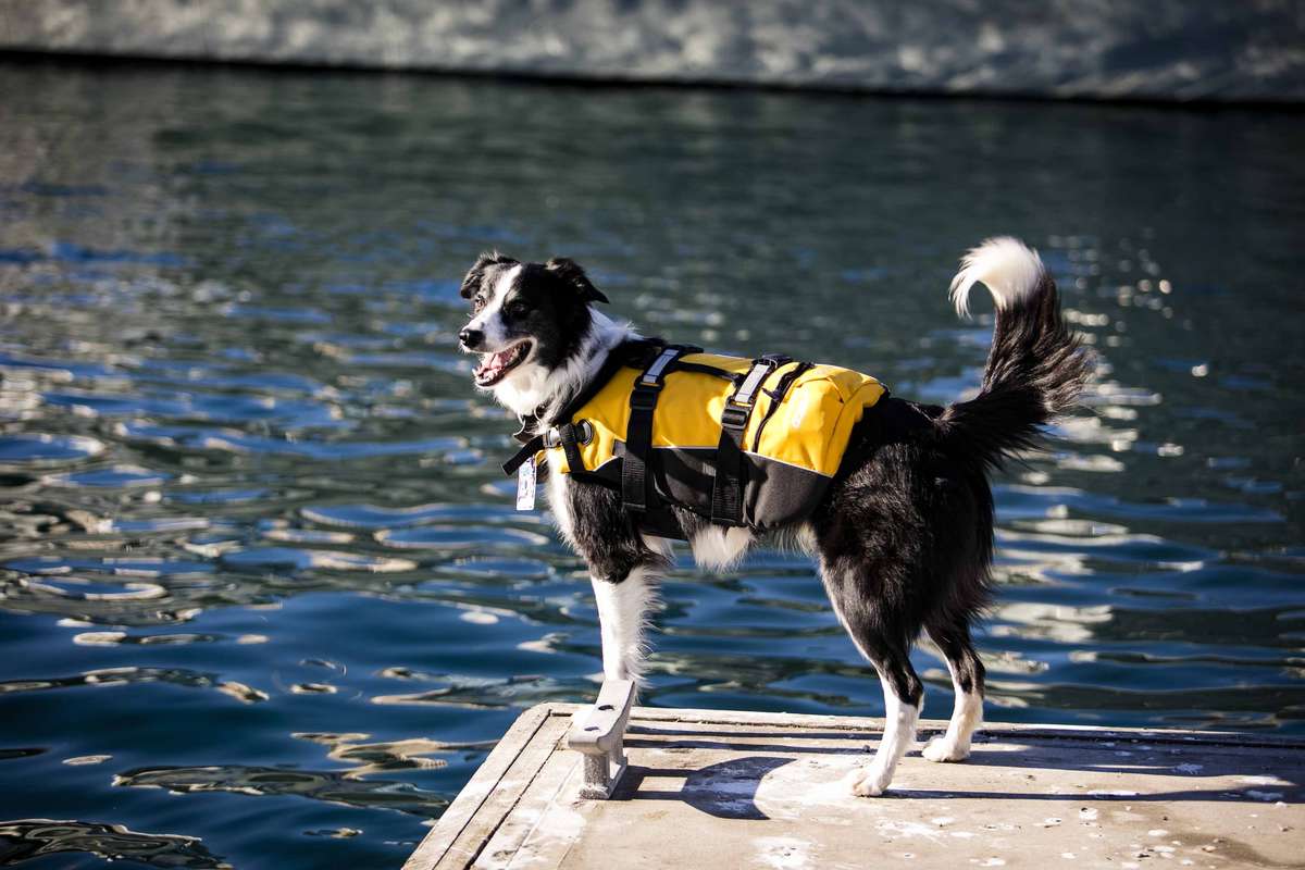 Lights, camera, action! Image: Andrew Frolows / ANMM. 