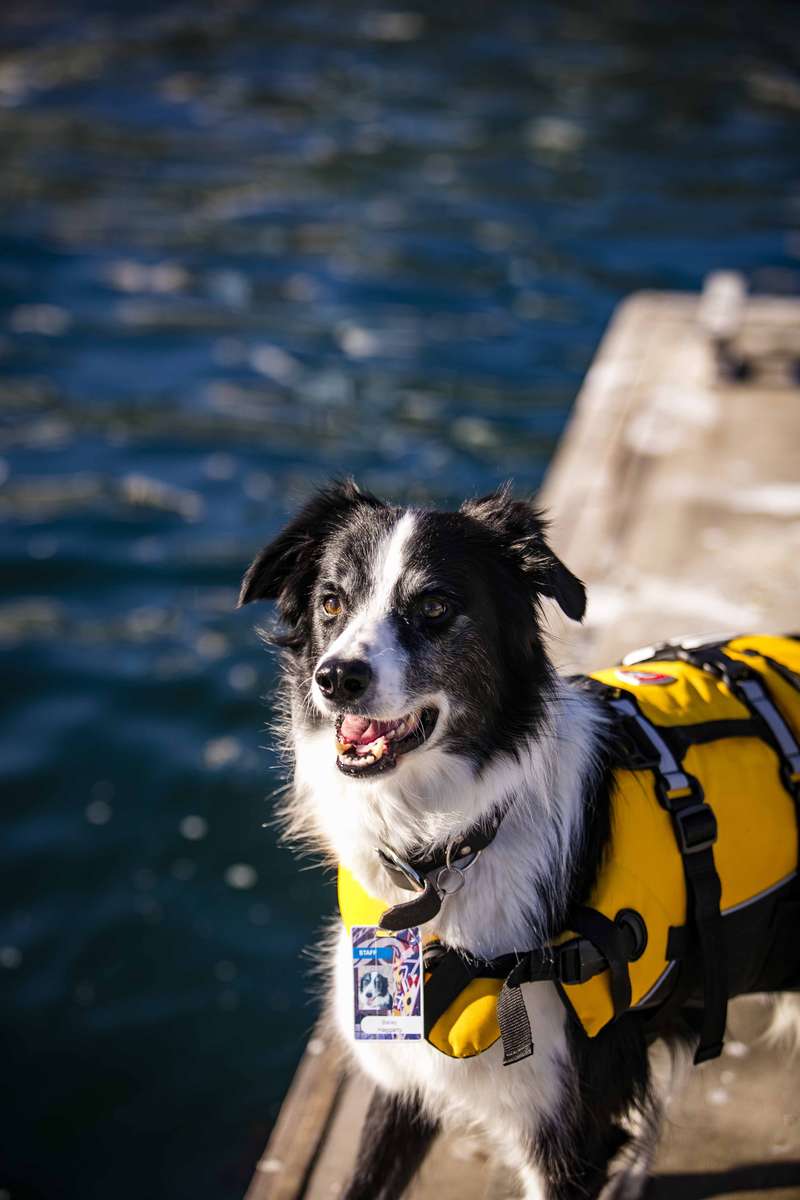 Did you film my good side? Image: Andrew Frolows / ANMM.