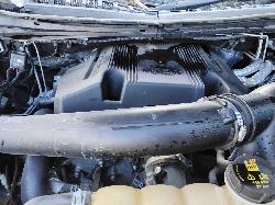 226308