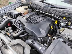 229294