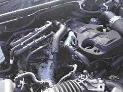 229808