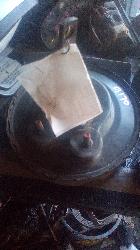 View Auto part Brake Booster Ford Falcon 1996