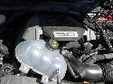View Auto part Right Front Window Reg/Motor Ford Mustang 2016
