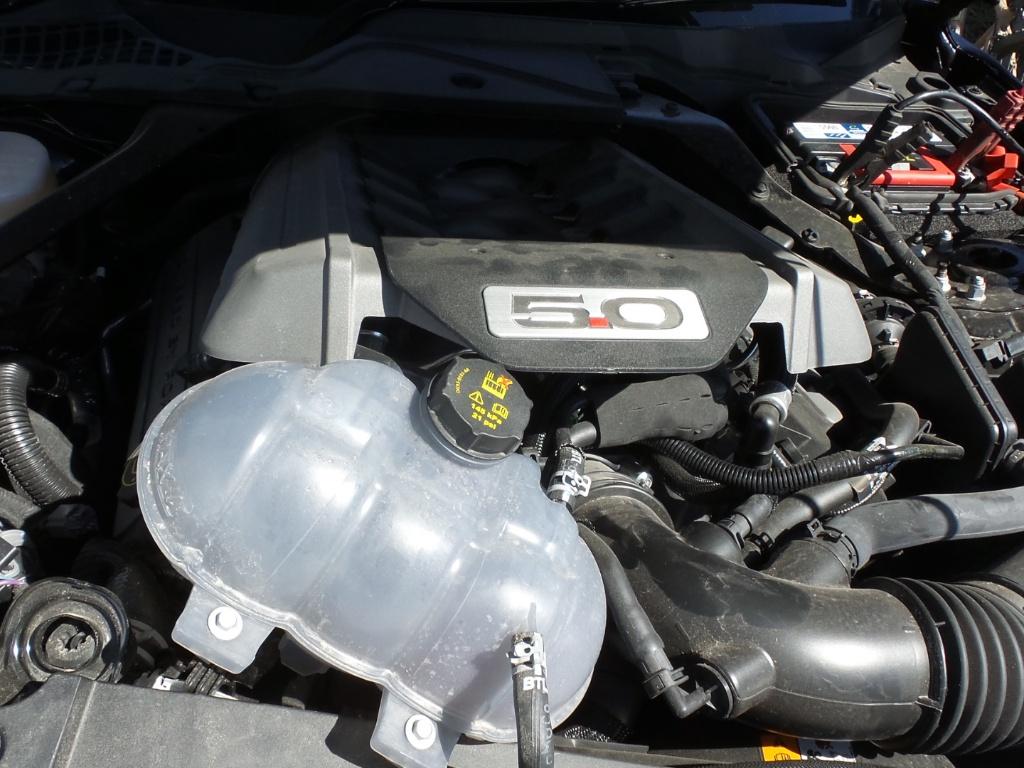 2016 Ford Mustang Right Front Window Reg/Motor View Auto part Right Front Window Reg/Motor Ford Mustang 2016