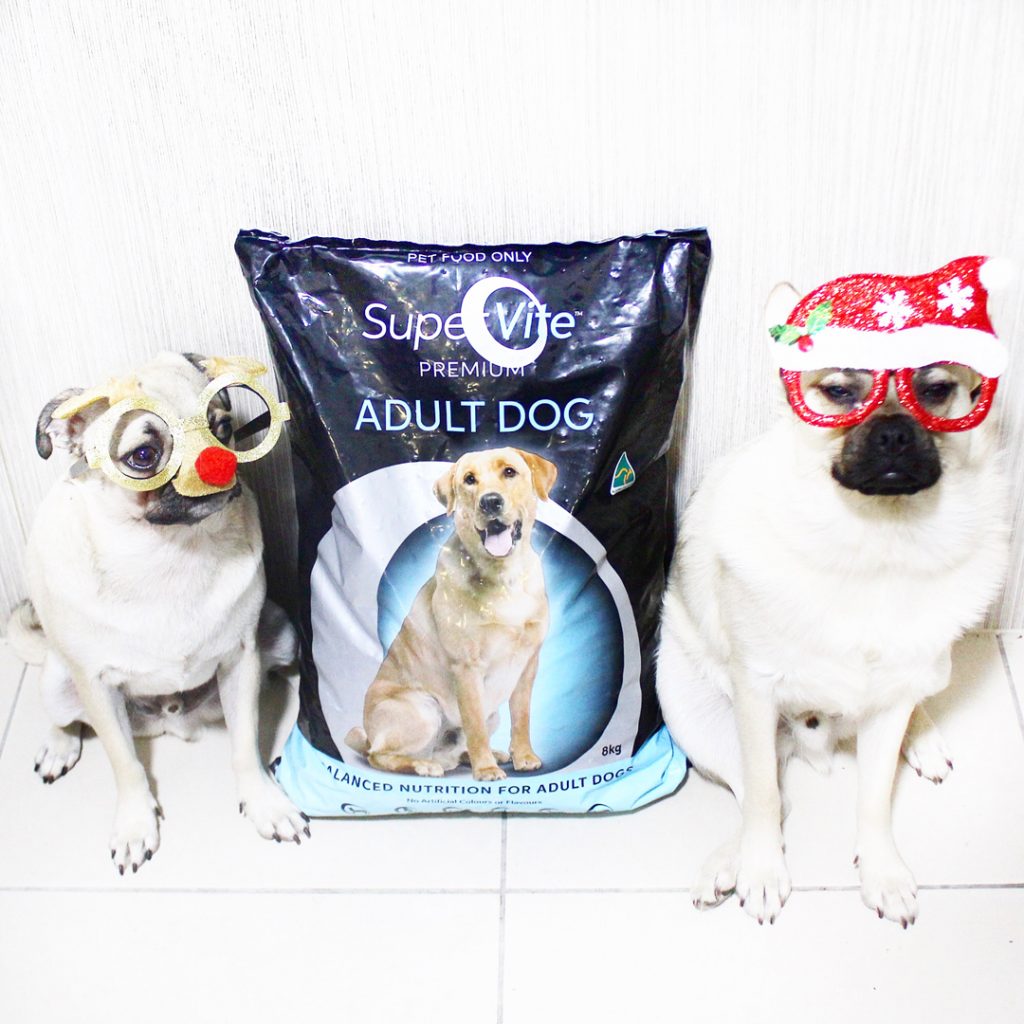 Top Christmas dog gifts