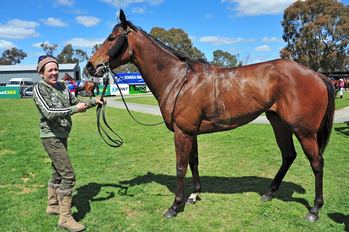 19 August Early Online Sale Inglis Digital Online Auctions