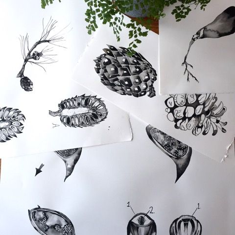 Illustration Intermediate and Beyond | Tania Mason