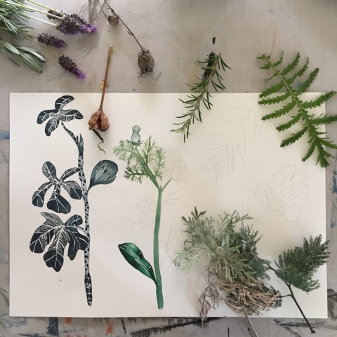 Illustration Intermediate and Beyond | Tania Mason