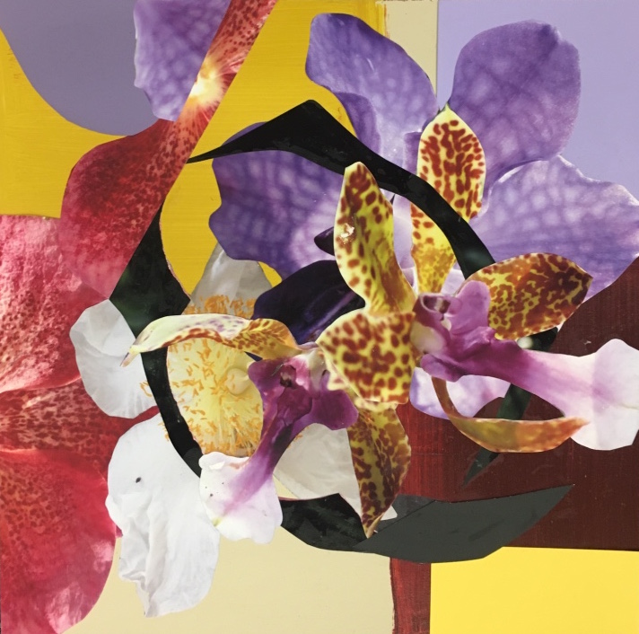 Colour, Composition and Collage | Intermediate  | Deborah Marks
