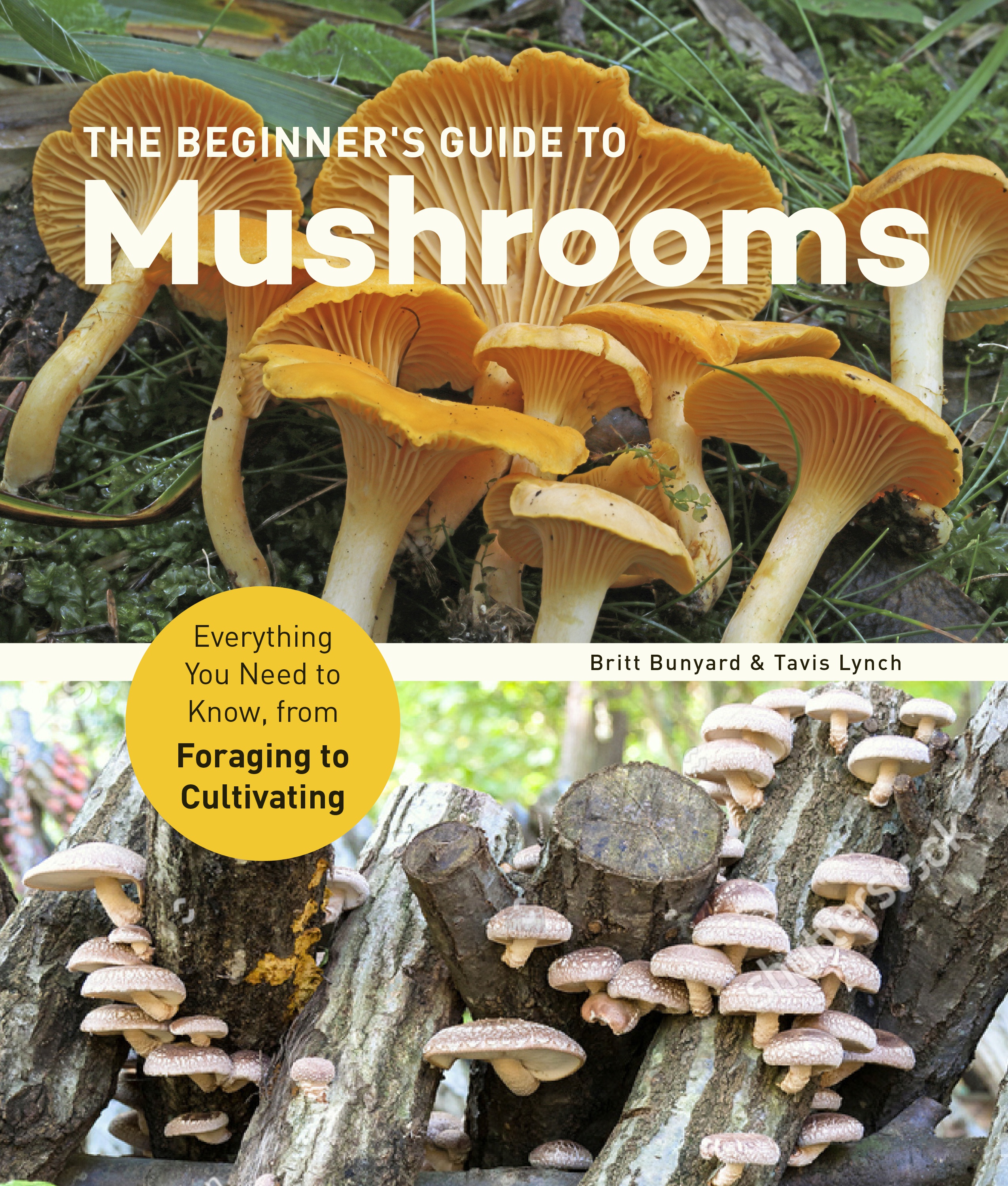 Understanding Mushroom Taxonomy: A Beginner'S Guide to Classification