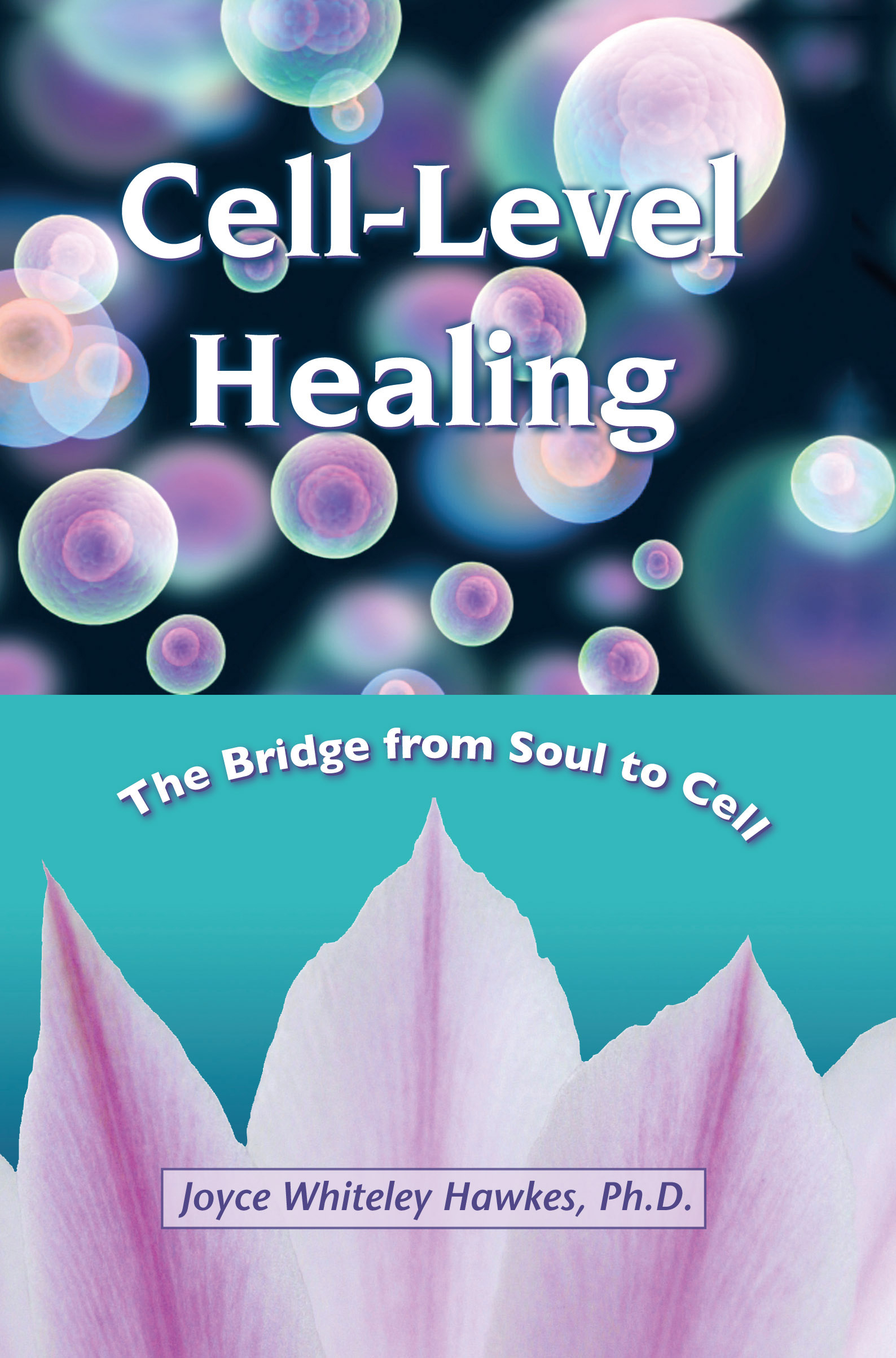 Hug healing treatment® vol.3 DVD Hug healing treatment® vol.3 DVD The Hug Therapy Book by