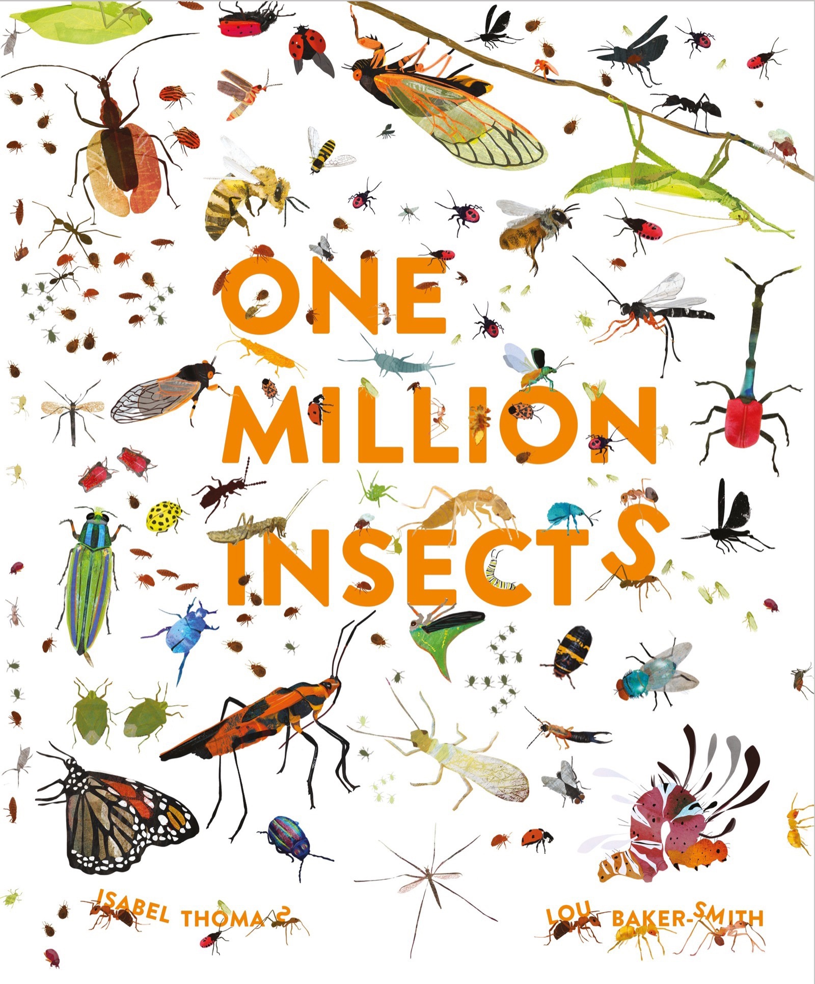 One Million Insects Isabel Thomas, illustrated by Lou Baker Smith