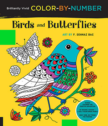 Brilliantly Vivid Color By Number Birds And Butterflies