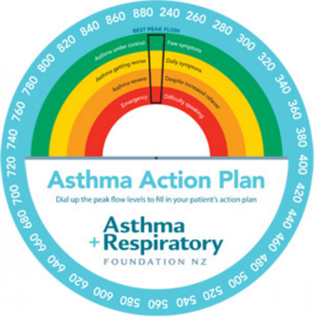Asthma Action Plan Peak Flow Wheel