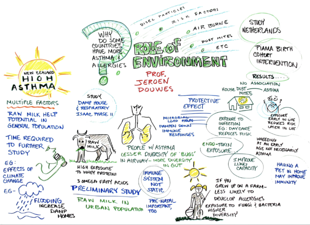 The Role Of The Environment