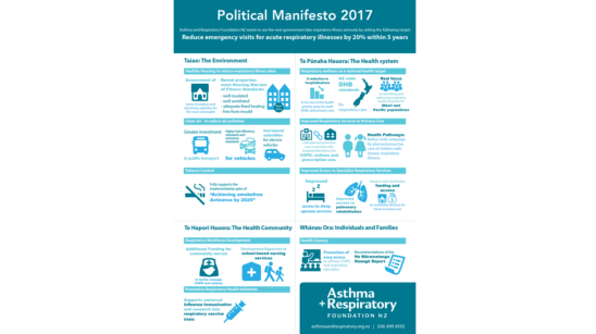 Political Manifesto 2017 Banner