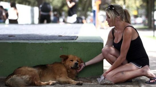 Stories Nicolebanner