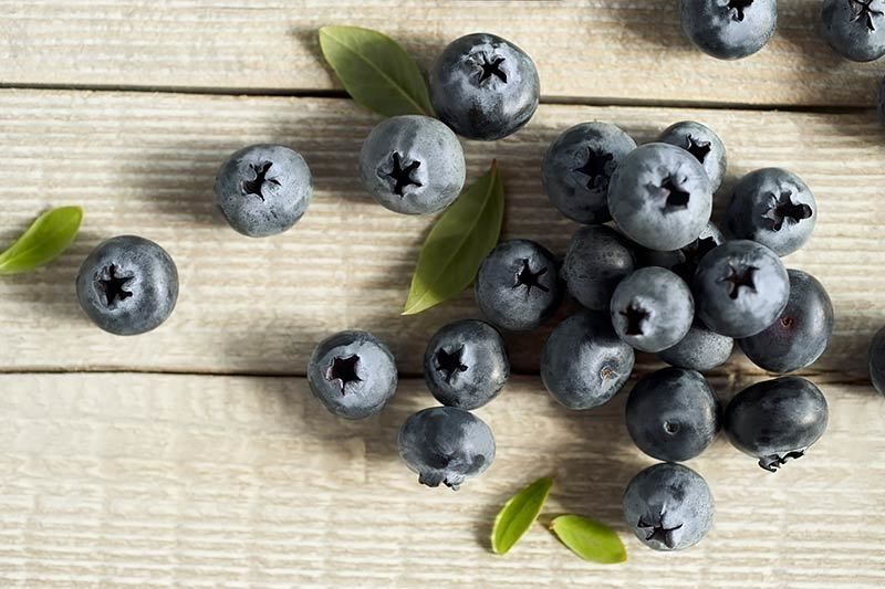 driscoll's blueberries fresh berries