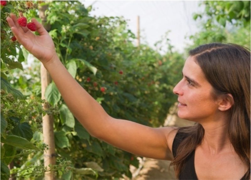 Employeebaptista140805