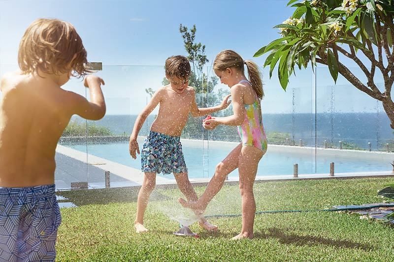 raspberries summer driscoll's berries fresh