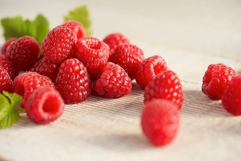 Driscoll's Raspberries