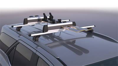 Ski/Snowboard Carrier