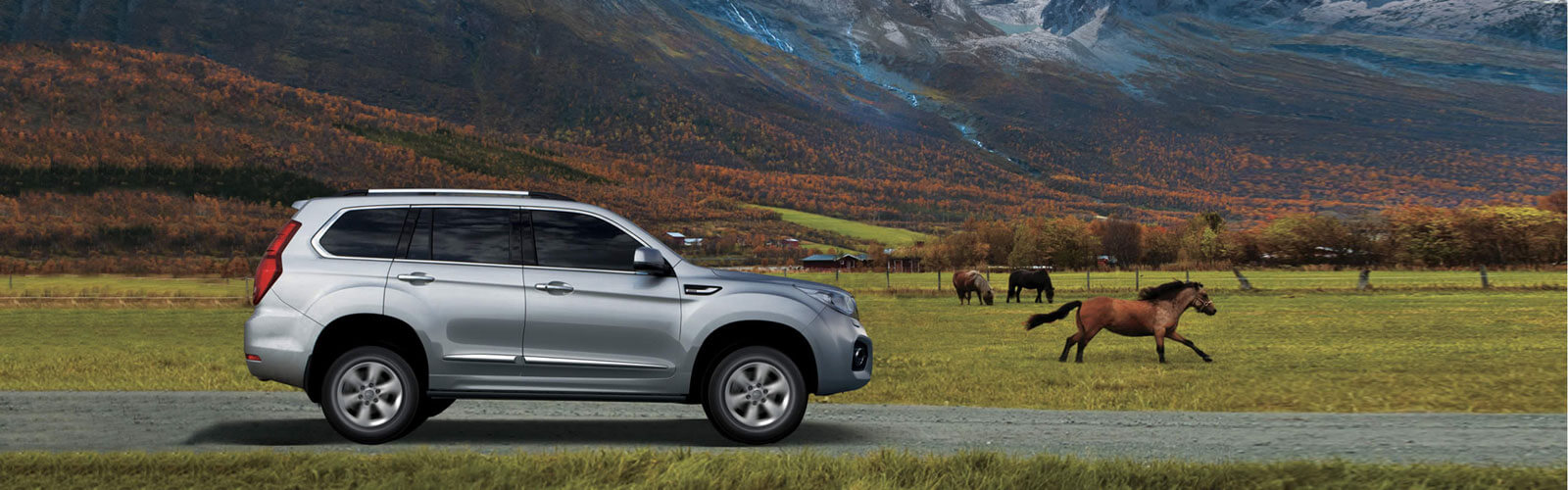 HAVAL H9 for sale at Autostrada