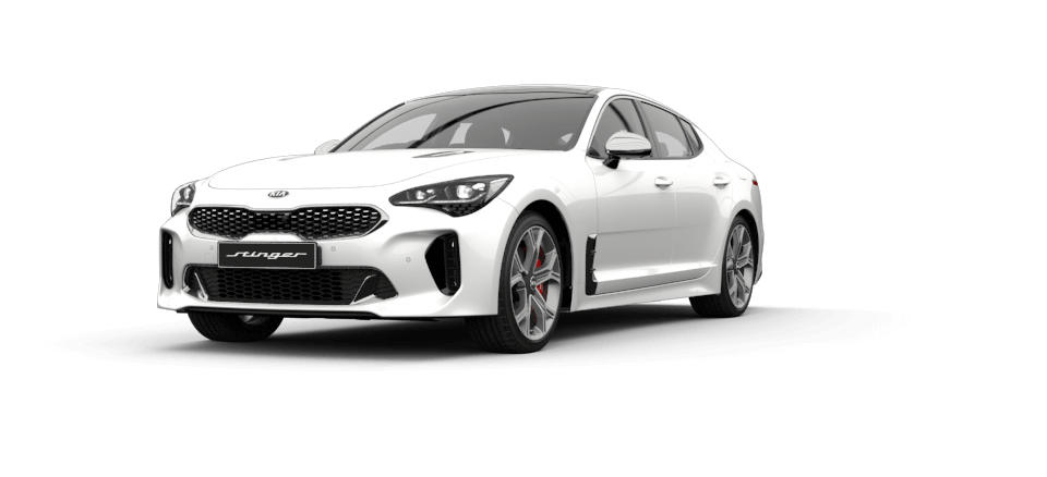 Stinger Panthera Metal