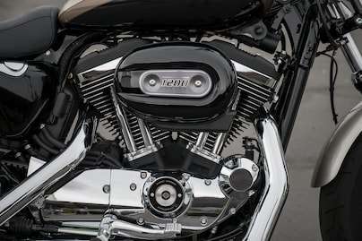 1200 cc Air-Cooled Evolution™ Engine