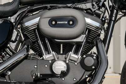 1200 cc Air-Cooled Evolution™ Engine