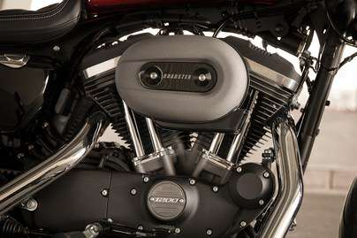 1200cc Air-Cooled Evolution™ Engine