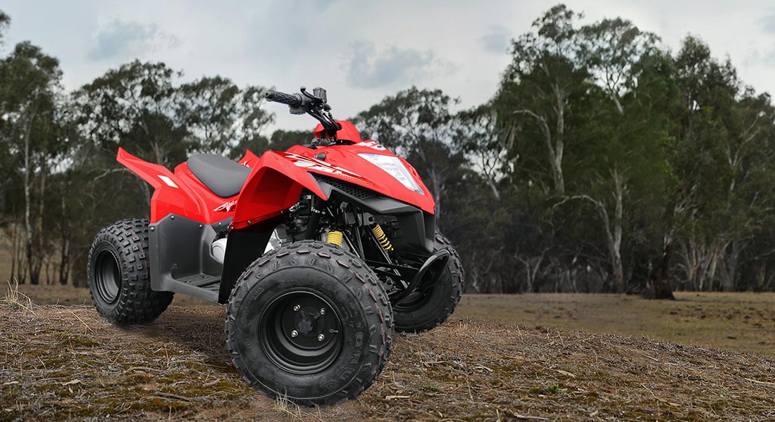 kymco-mongoose-90s