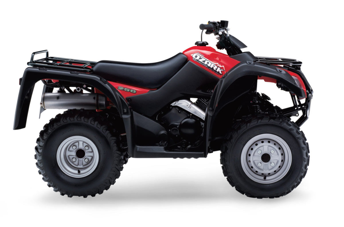 suzuki-2018-ozark-250