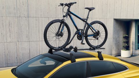 Arteon Bicycle carrier