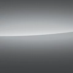 Platinum Grey Metallic