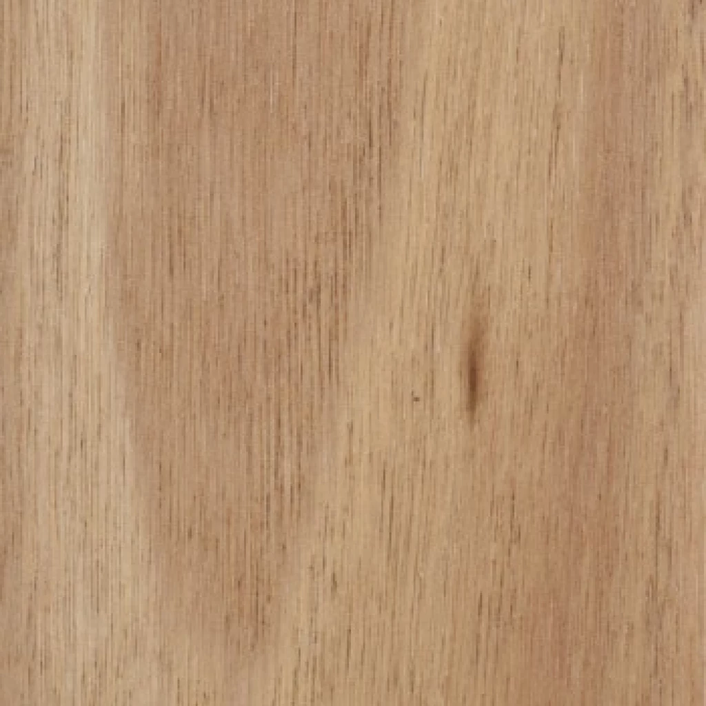 Blackbutt