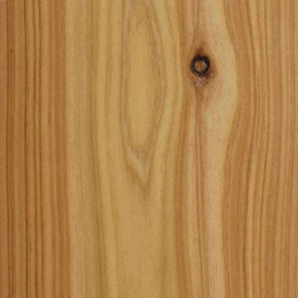 Pine