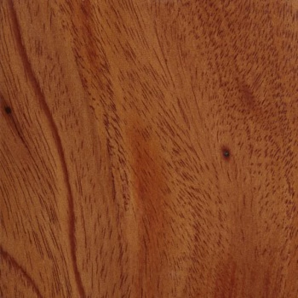 Fijian Mahogany