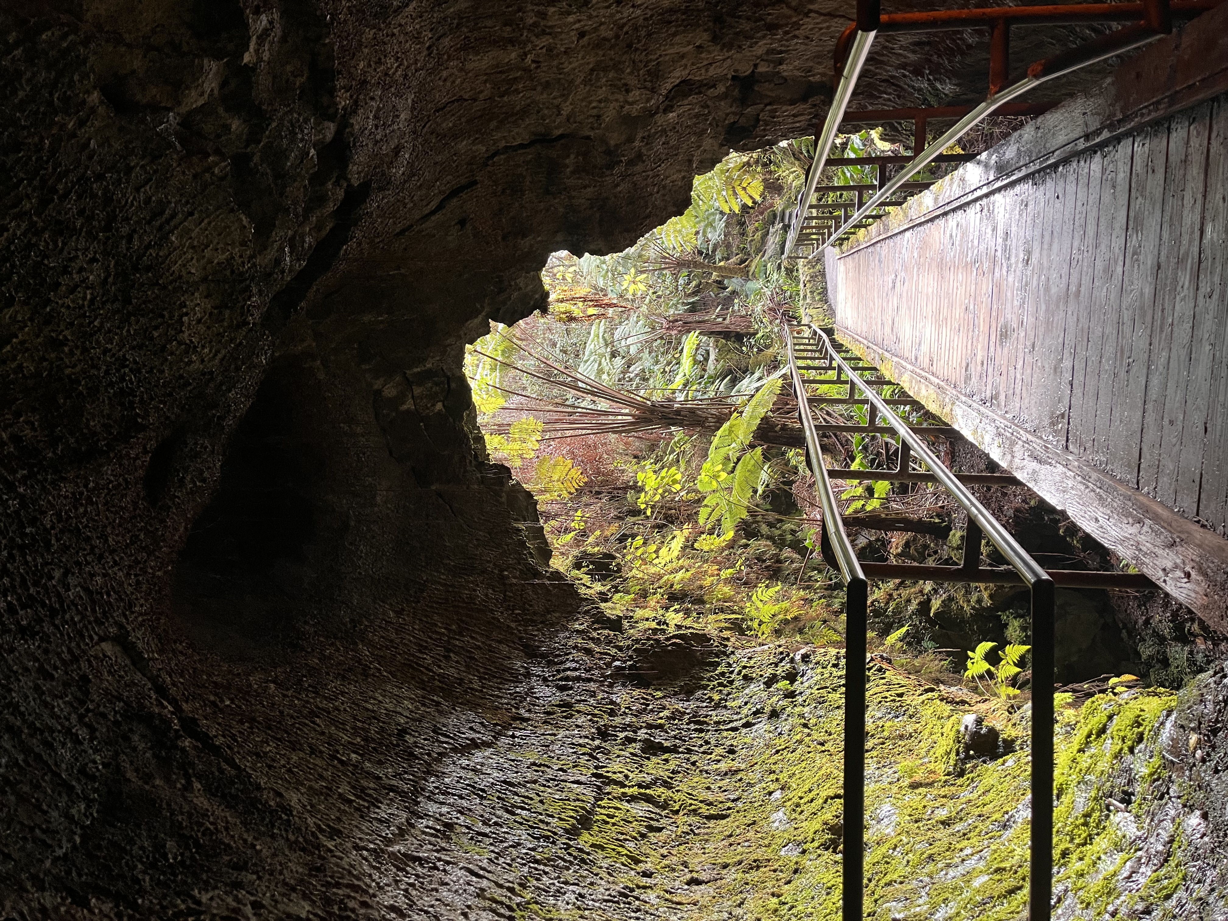 山/Mountain foil （日） USG 10枚セット Mountain (#289) | Kamigawa: Neon Dynasty | Star City Games