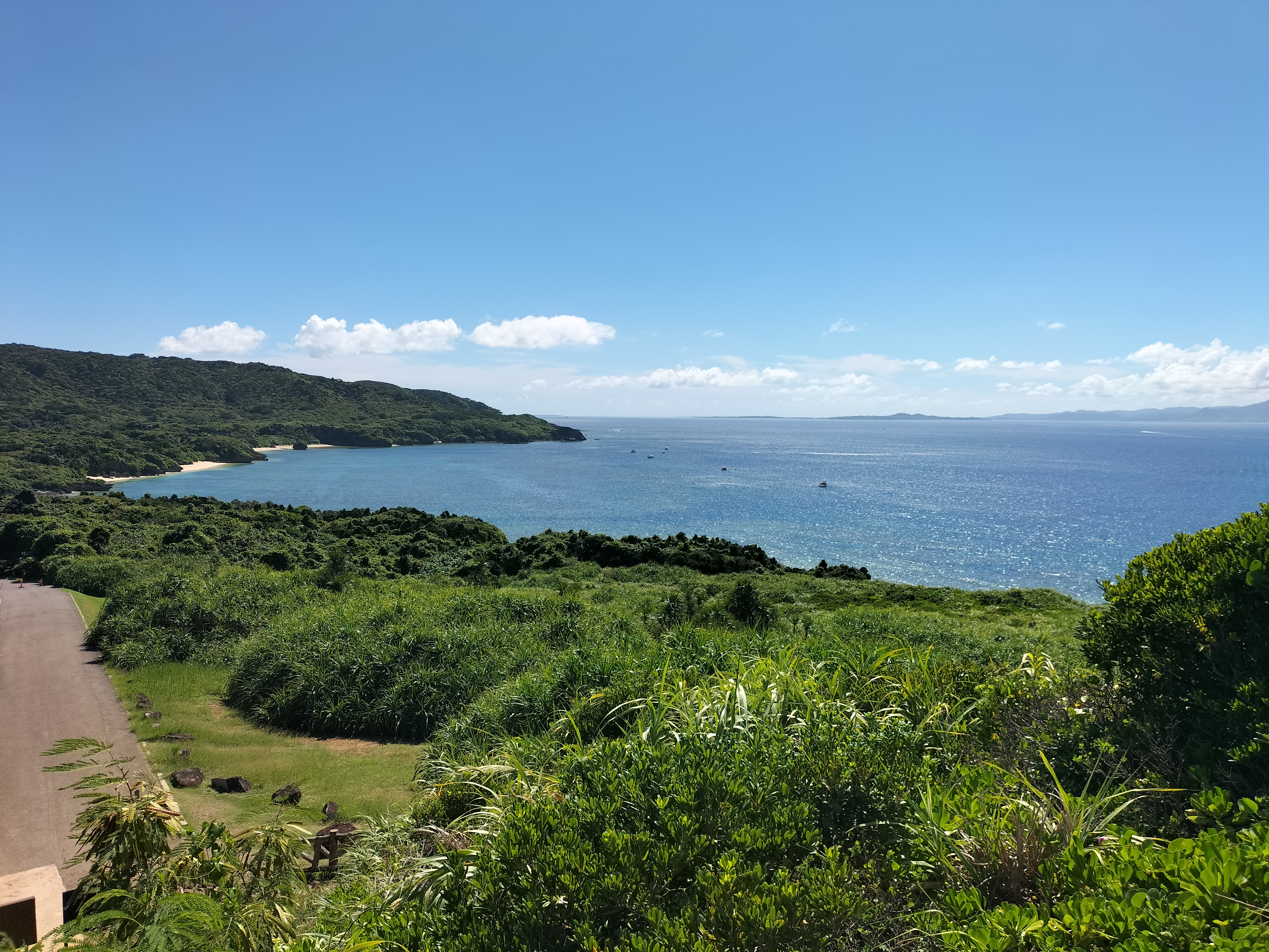 石垣島水牛のツノ 竹富島J＊竹富島グラスボート・水牛車観光コース | 八重山離島