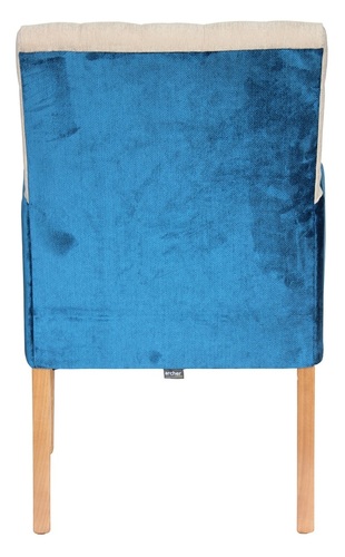 Agedcare & Retirement Occasional Reems Armchair, back view