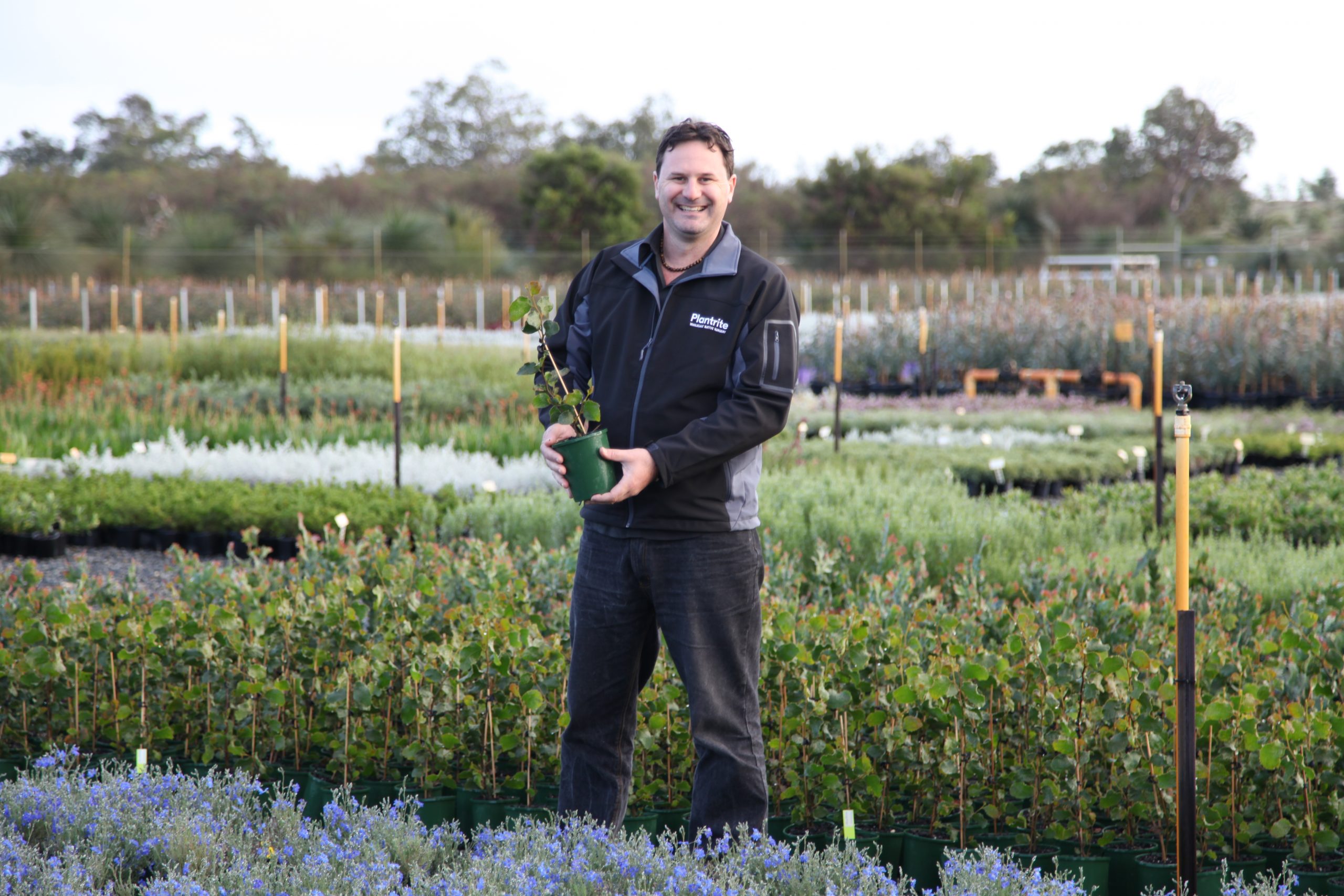 Mick Davis - Relationship Manager
