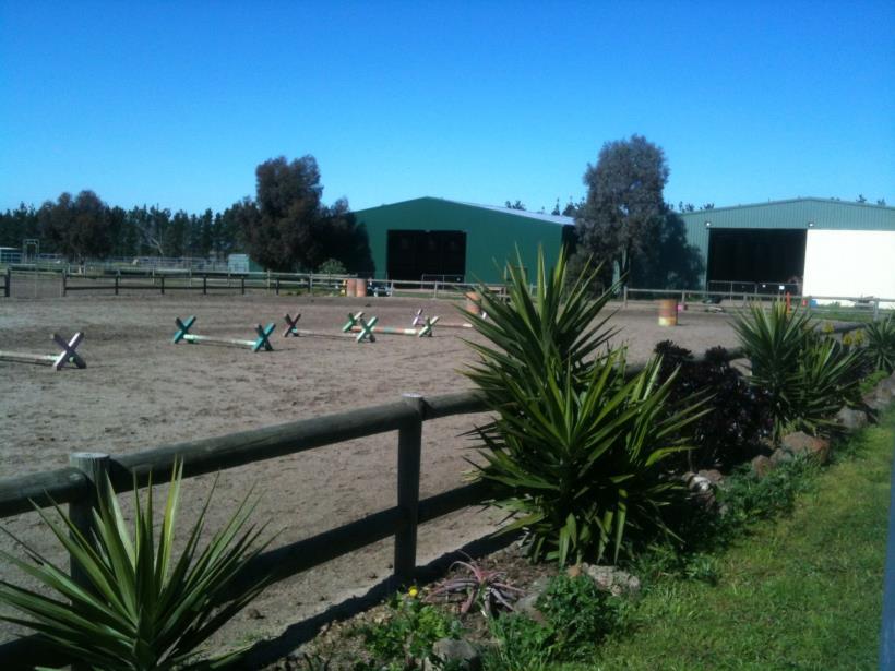 Saddle On Riding School