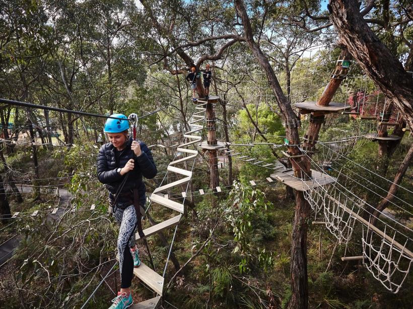 Tree Surfing at the Enchanted Adventure Garden