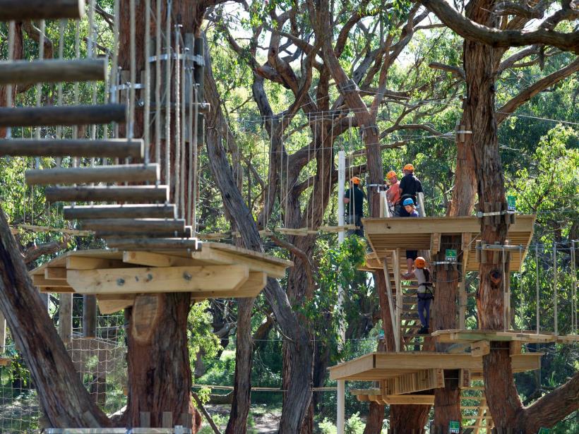 Tree Surfing at the Enchanted Adventure Garden