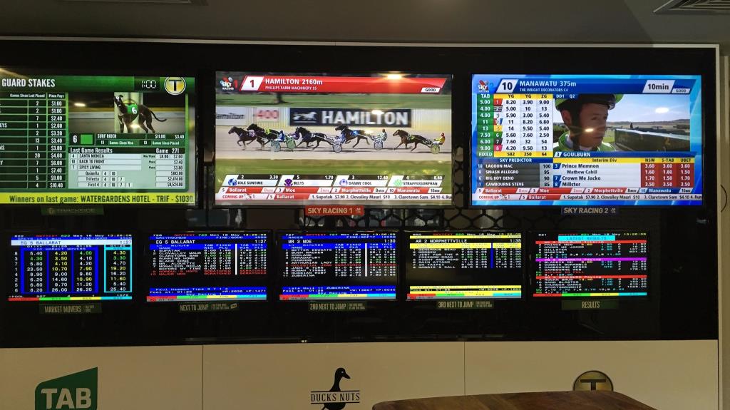 Ducks Nuts Bar & Grill in 30 Woolley Street Dickson Australia Photos