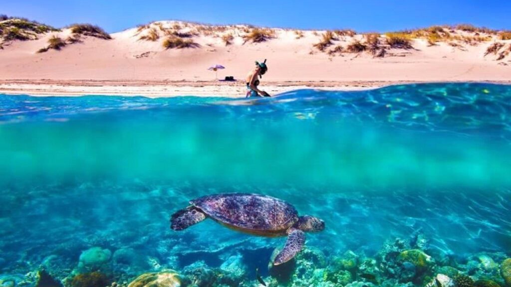 Ningaloo Reef, the world’s largest fringing reef and one of the longest near-shore reef systems in the world. Photo credit: Tourism Western Australia