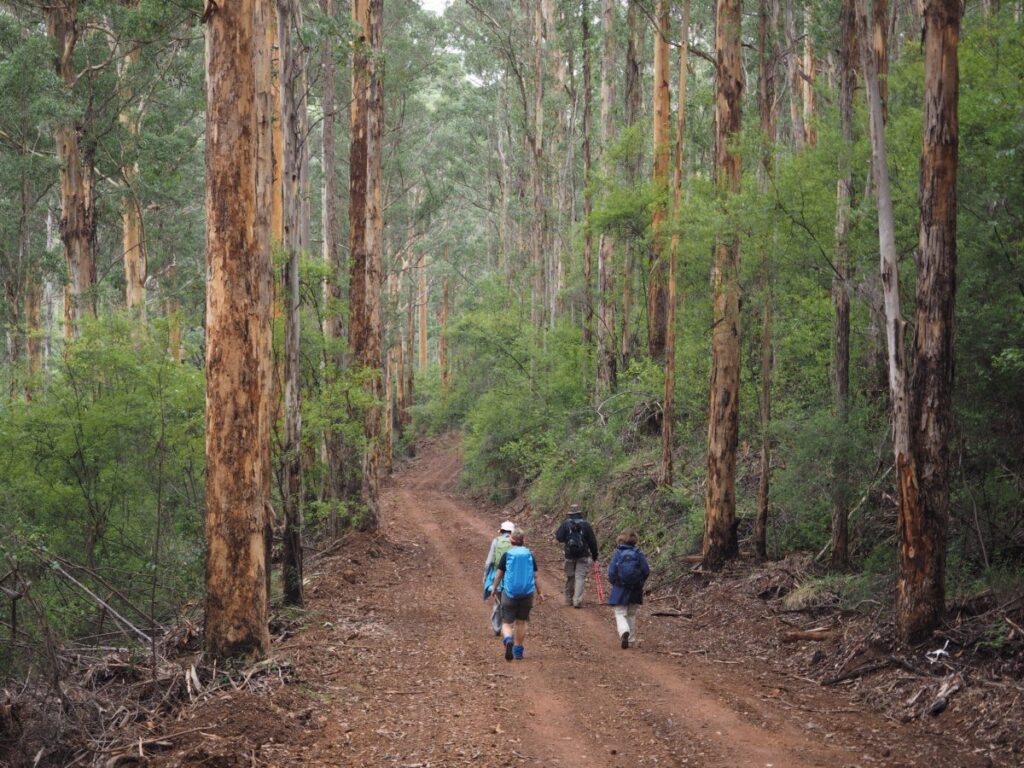 Hiking the Bibbulmun Track. Photo credit: Inspiration Outdoors
