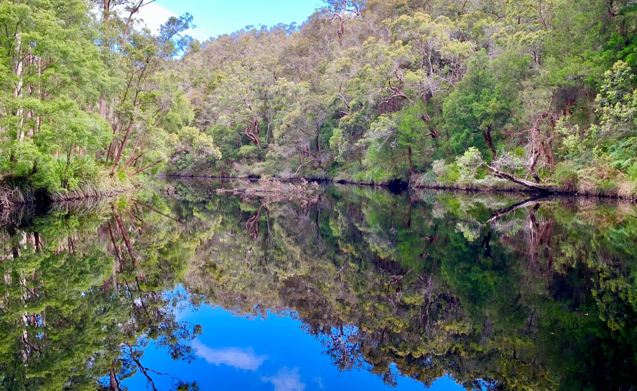 Registrations open for Walpole Wilderness Blitz 2022 WA Parks Foundation