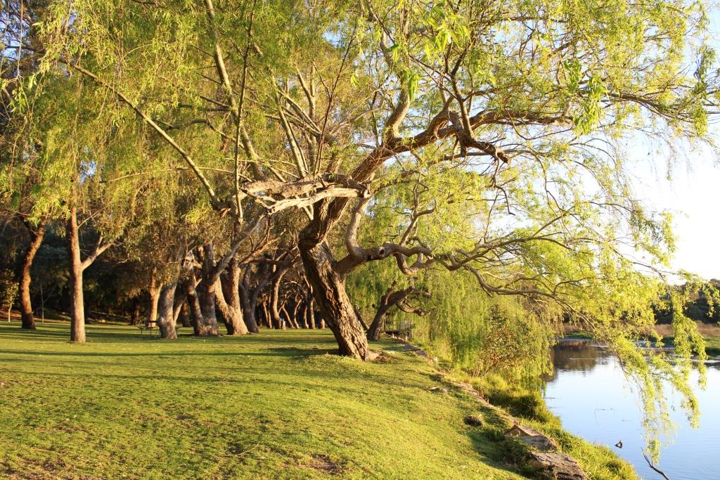 Yanchep National Park WA Parks Foundation